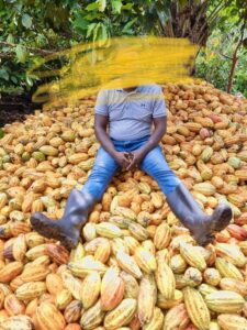 Article : RDC : Eringeti et Oicha, de l’ombre des ADF à l’éclat des récoltes